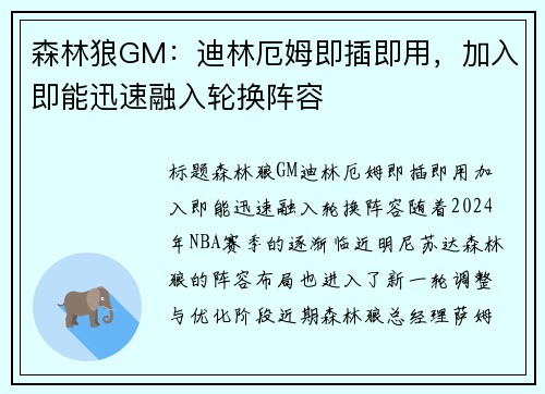 森林狼GM：迪林厄姆即插即用，加入即能迅速融入轮换阵容